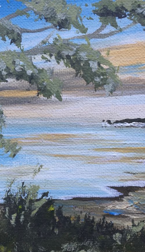 Studland Beach on a mini canvas by Marja Brown