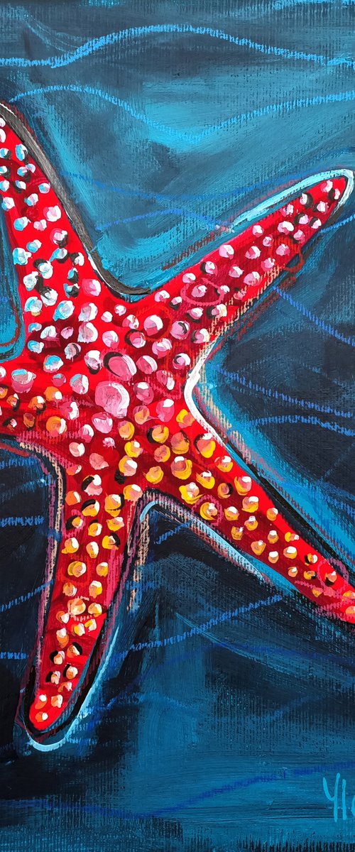 Starfish by Ylenia Giuliano