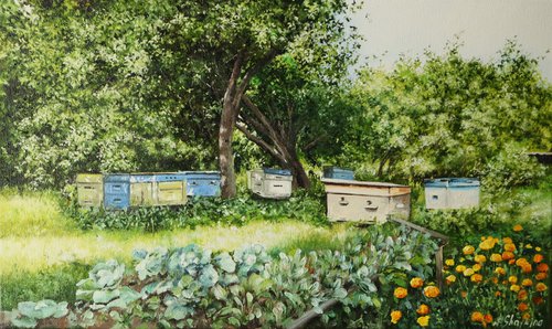 Backyard Bee Hives, Summer Orchard Scenery. by Natalia Shaykina
