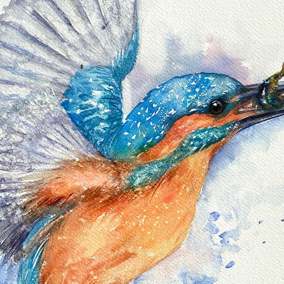 Kingfisher's Catch