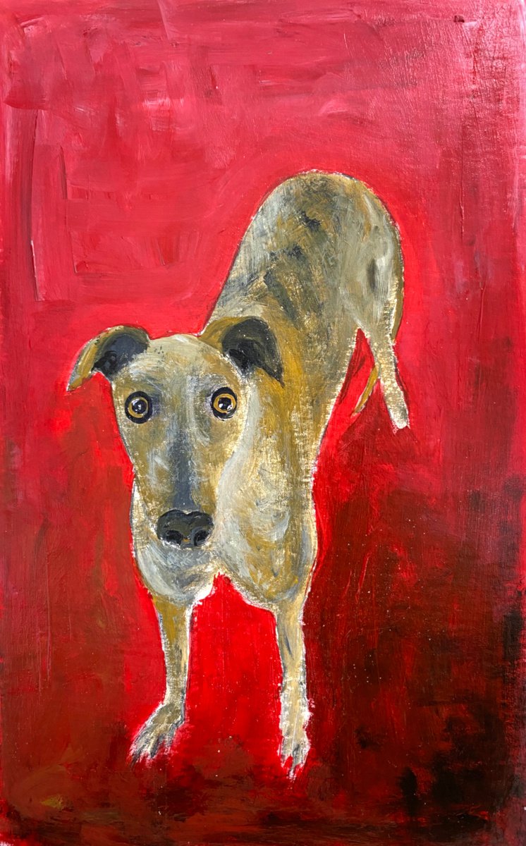 Brindle Expressive Greyhound on Red by Teresa Tanner