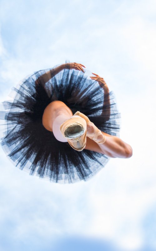 Ballet Portrait by Robert Houser