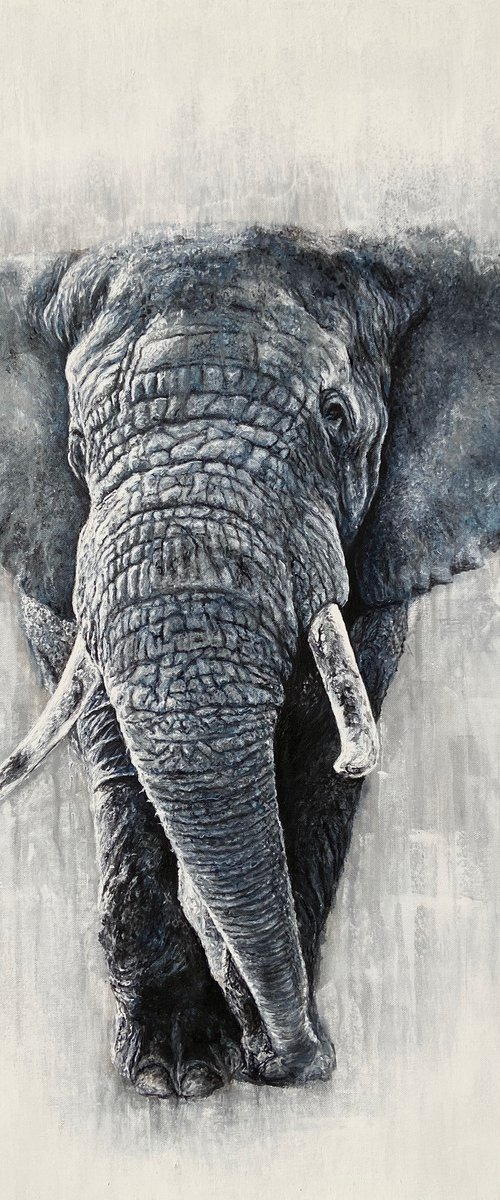 White Elephant by Paul Hardern