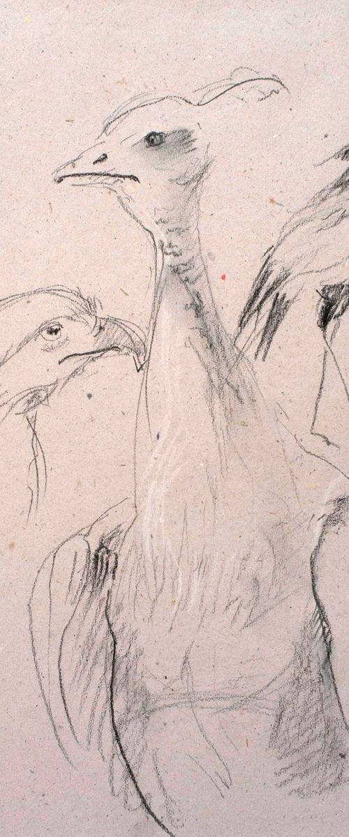 Sketches from the animal world. Birds (#2) by Irina Bibik-Chkolian