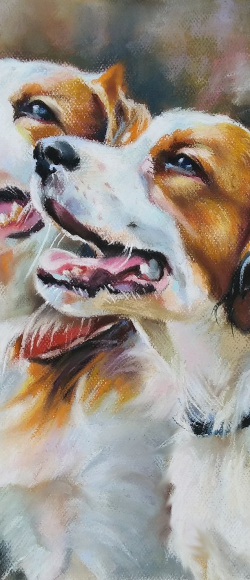 Dog smiles by Magdalena Palega