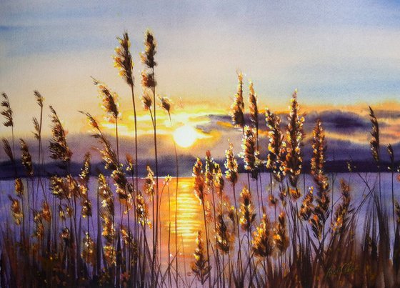 Beach sunset thru Tall Grass - Beach Grass in Silhouette at Sunset by the Lake – Shoreline - Seascape