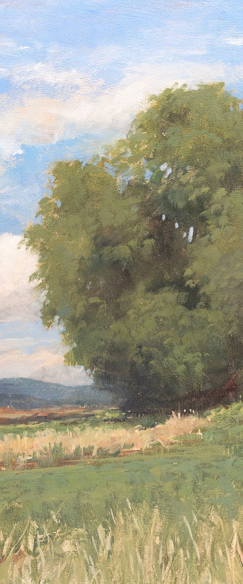 Summer Trees 250614 by Don Bishop