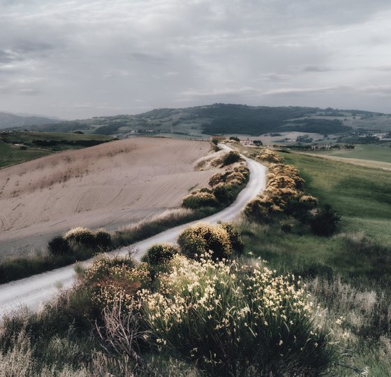 White road in Val d'Orcia