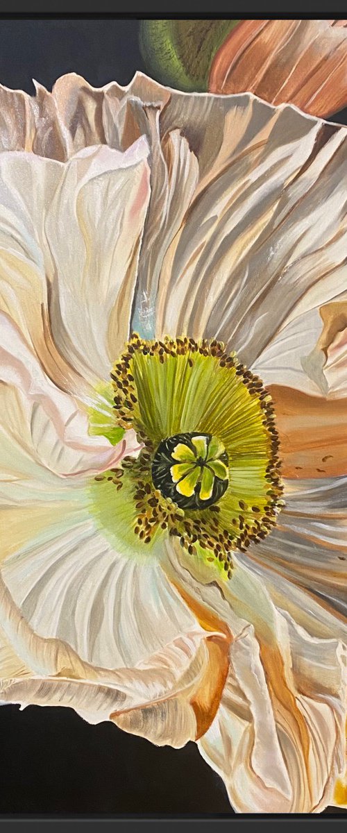 Poppy's Embrace by Wendy Peters