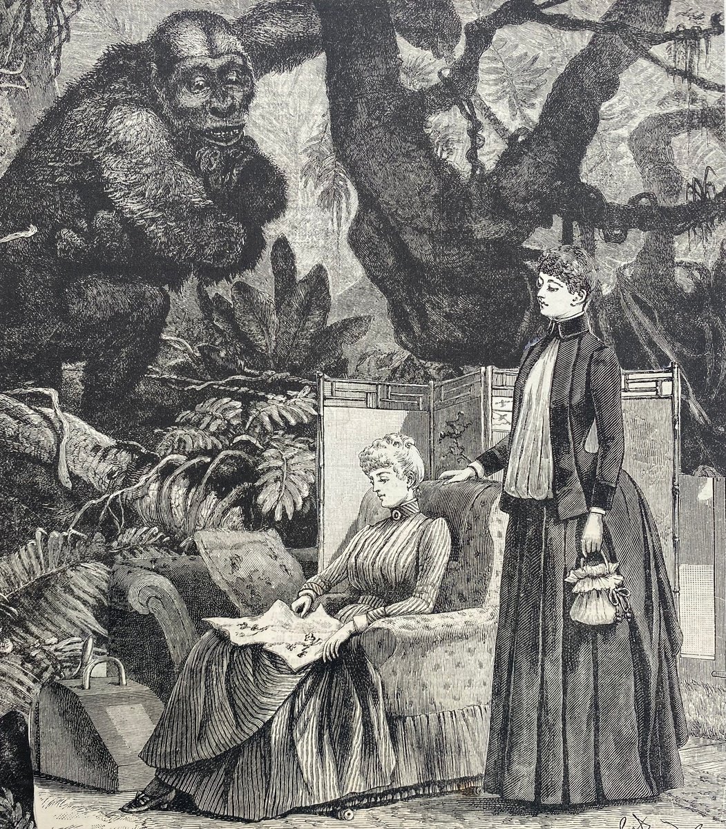 Surrealistic Portrait Collage By Tudor Evans, 7 X 8", Ape And Woman Reading, Original Artwork