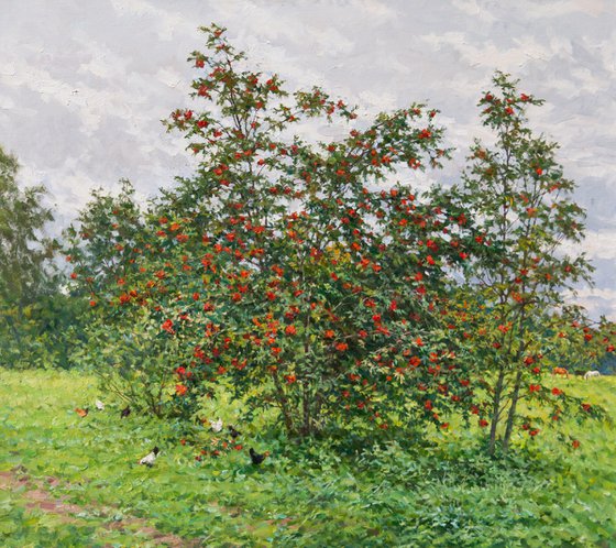 Rowan Tree