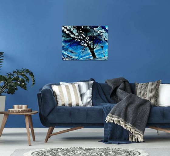 Shattered Reflection
