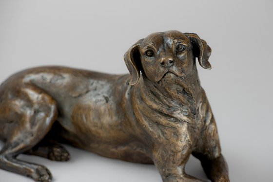 Lying Redbone Hound in Bronze Resin