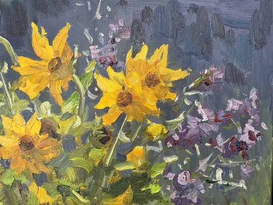 Wild Flowers litted by morning light