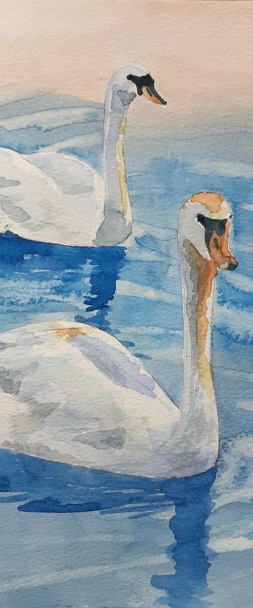 Two Swans by Lisa Mann