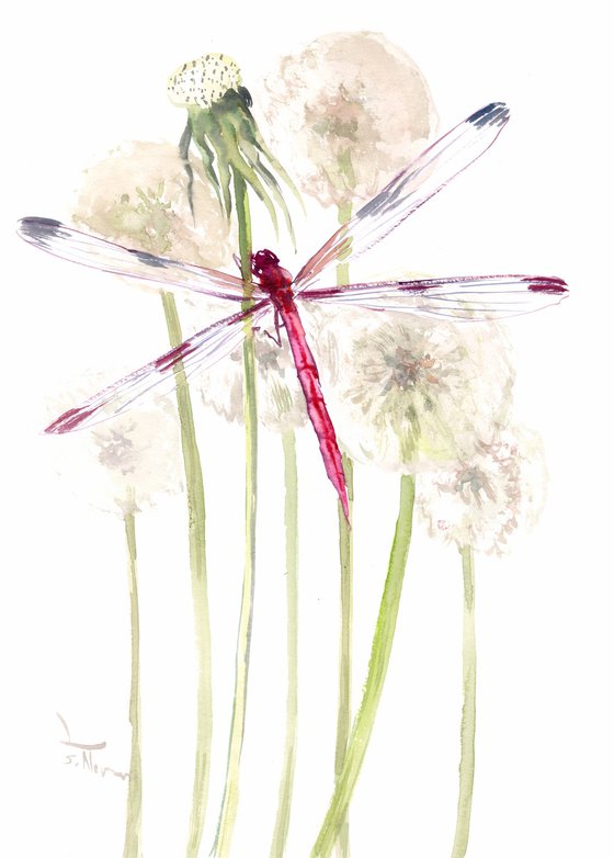 Dragonfly and Dandelions