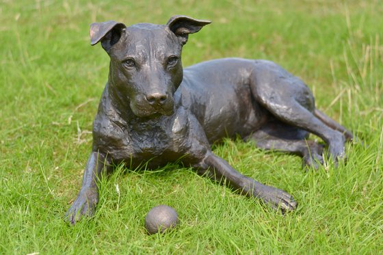 "Skye" Lying American Staffordshire Bull Terrier in Foundry Bronze metal