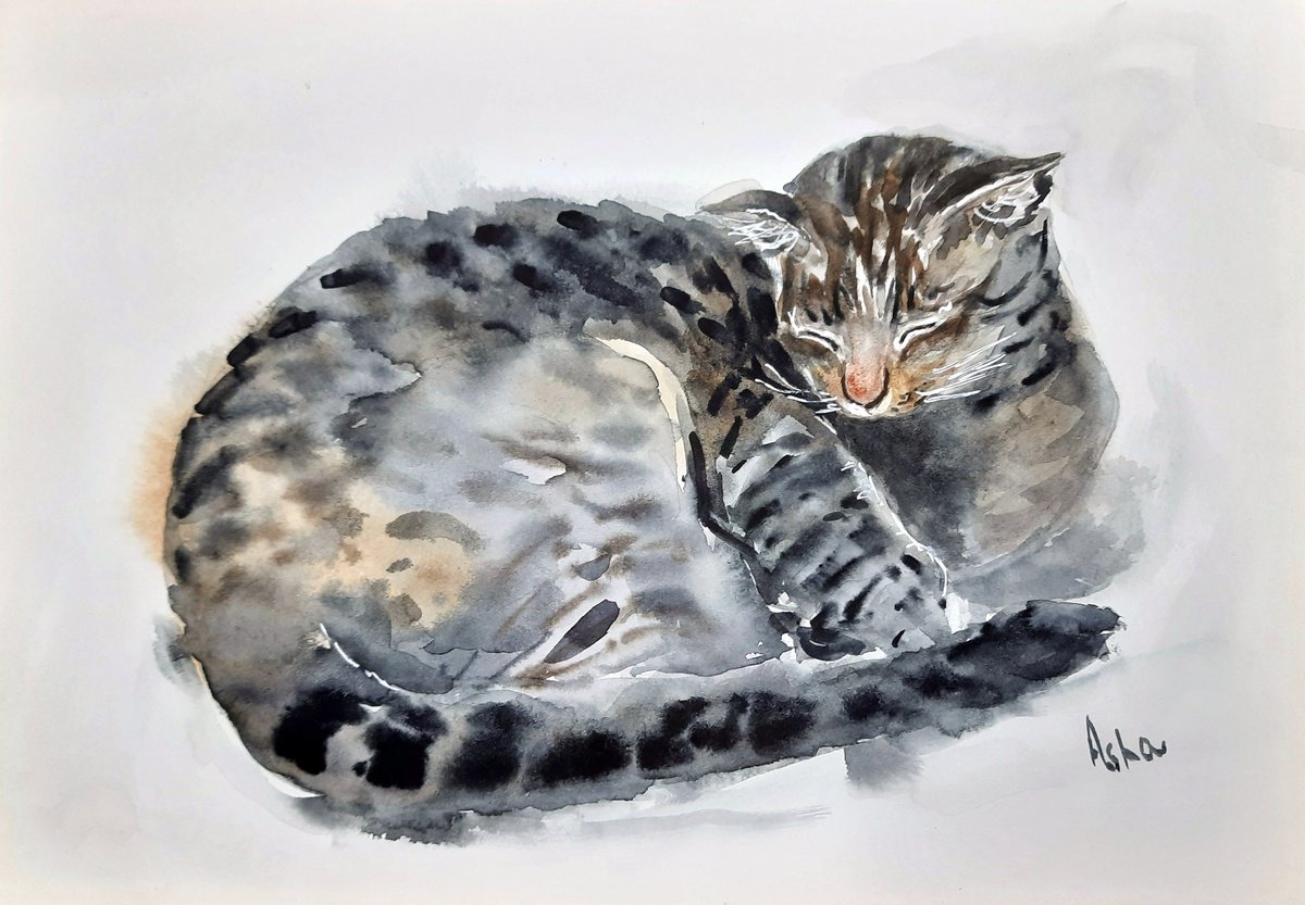 Impressionistic Watercolour , Kumudamini The Tabby Cat By Asha Shenoy, 12 X 8, Artwork For Sale On Artfinder