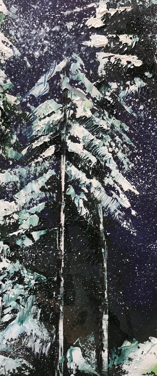 Night Snow by Belinda Reynell