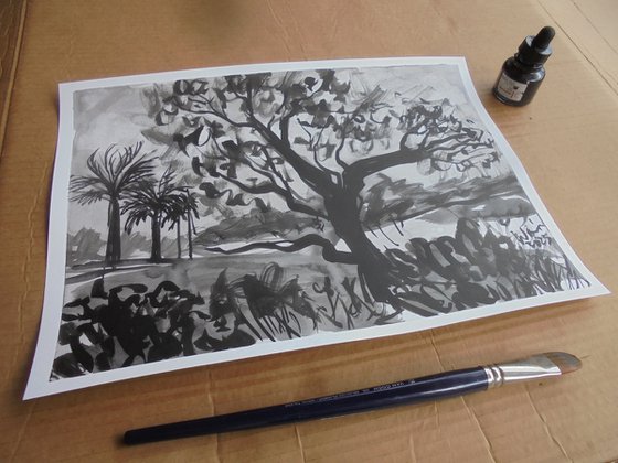 Ink study Jacaranda in Nueva Andalucia II