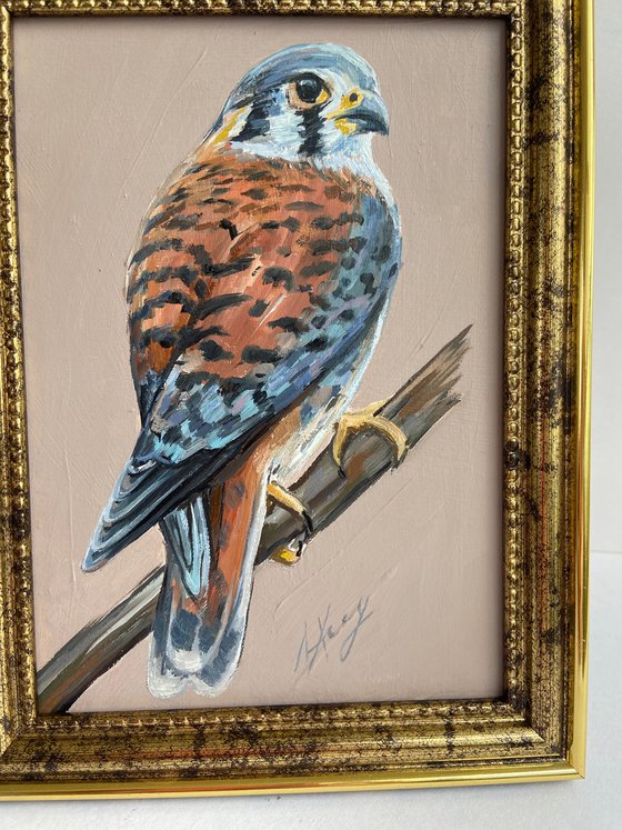 Bird Oil Painting American Kestrel framed 16x20cm 6x8inch