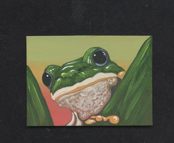 ACEO ATC Original Miniature Painting Green Frog Wildlife Art-Carla Smale