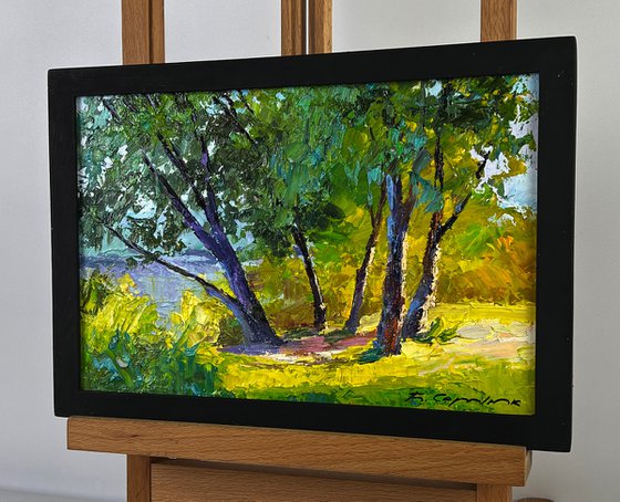 Summer Forest Glade