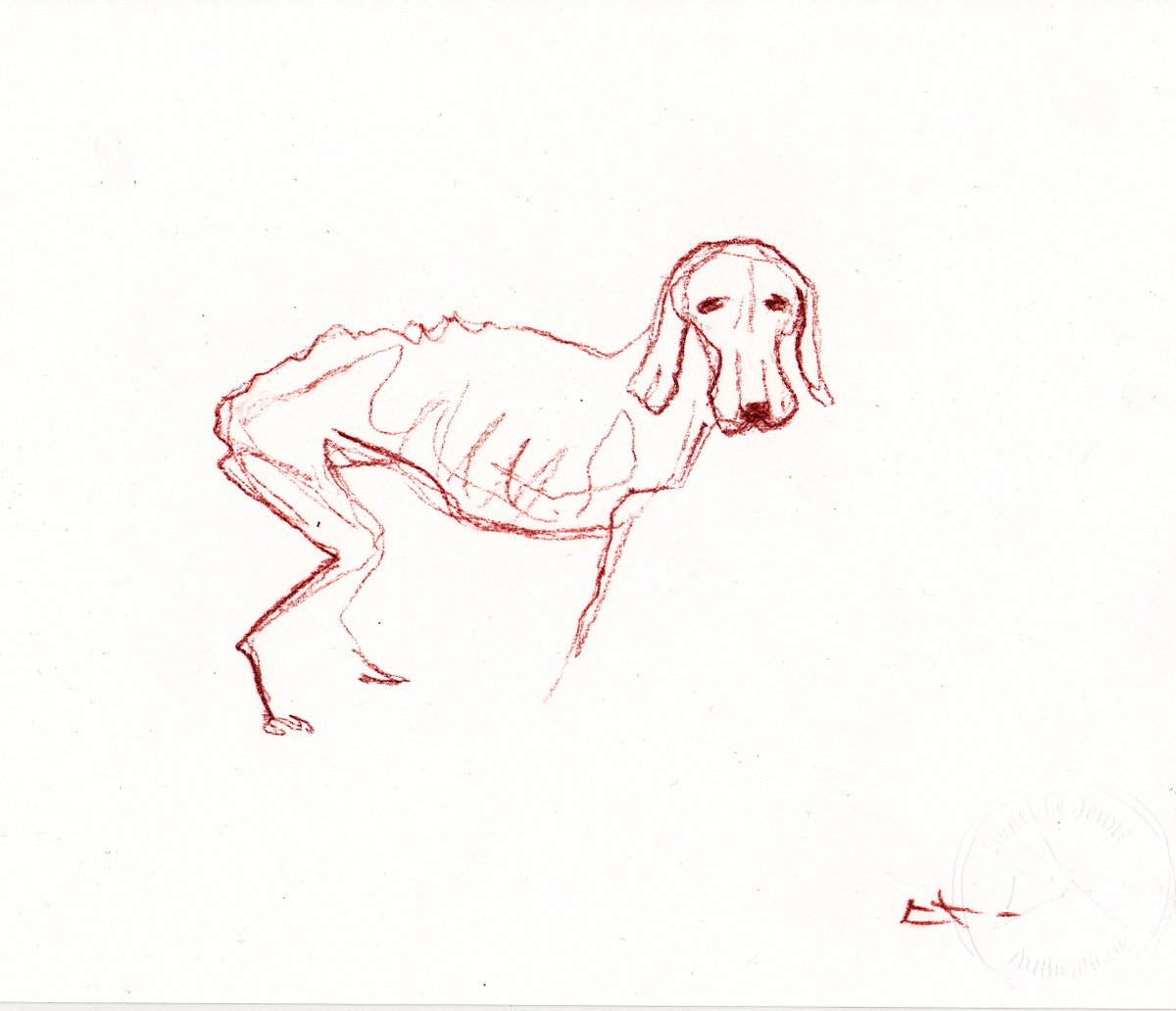 STRAY DOG, Sanguine by Lionel Le Jeune