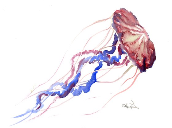 Jellyfish