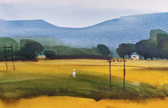 Indian yellow, summer light 1