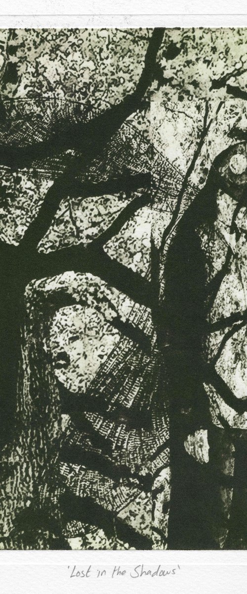Lost in the Shadows by Michelle Hinshelwood
