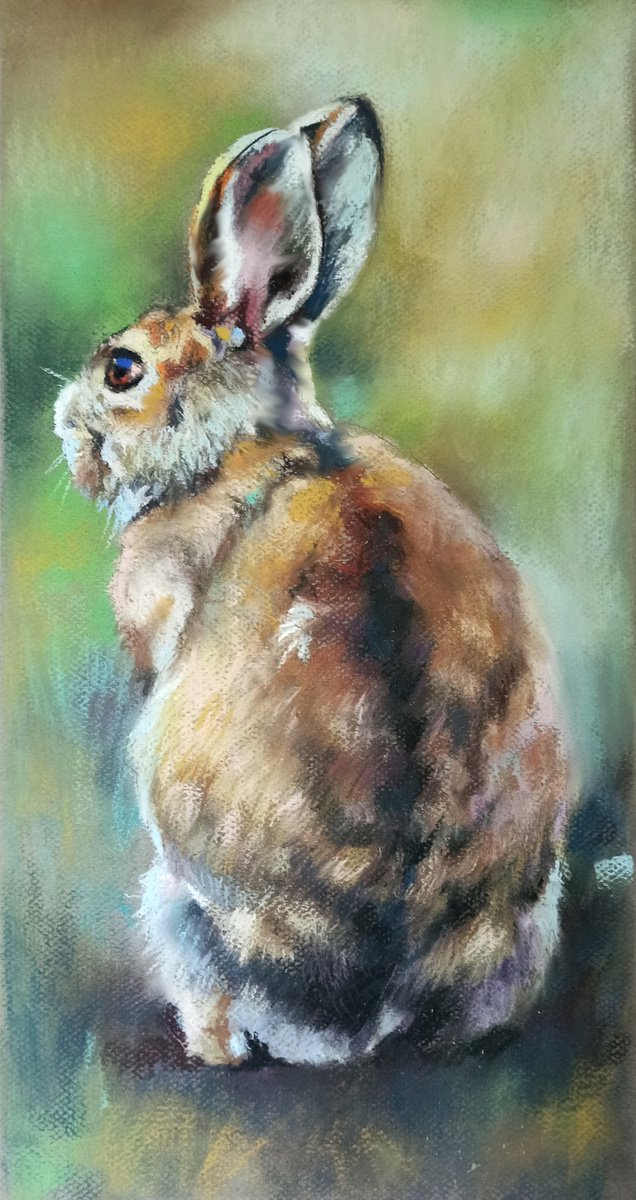 Bunny II by Magdalena Palega