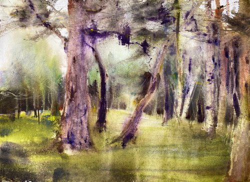 Enchanted Forest by Anna Boginskaia