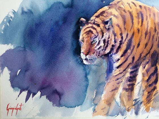 tiger 8