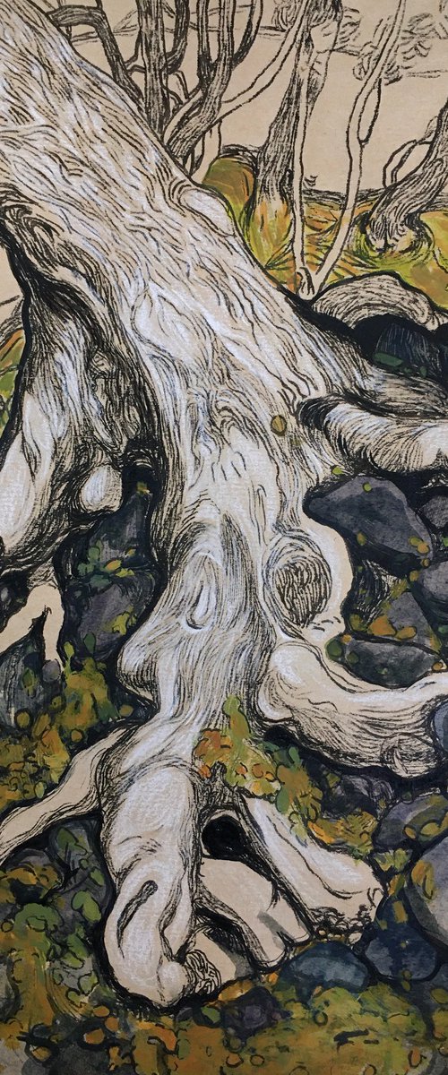 ''The tree'' by Raffi Ghazaryan