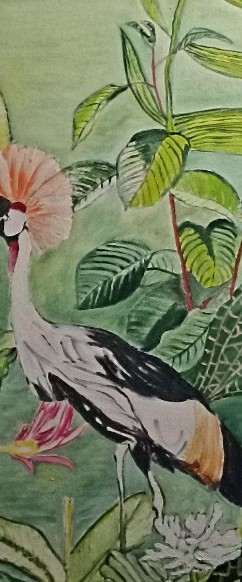 Wader bird by Isabelle Lucas