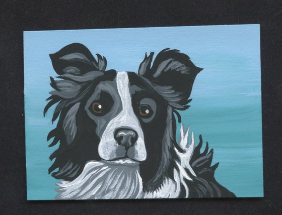 ACEO ATC Original Miniature Painting Border Collie Pet Dog Art-Carla Smale