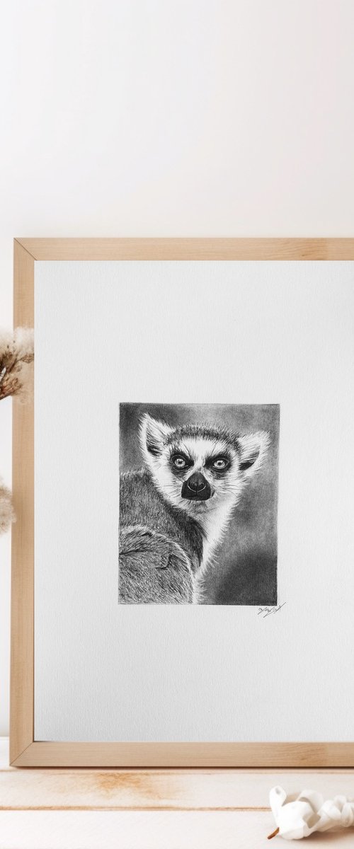 Lemur by Amelia Taylor