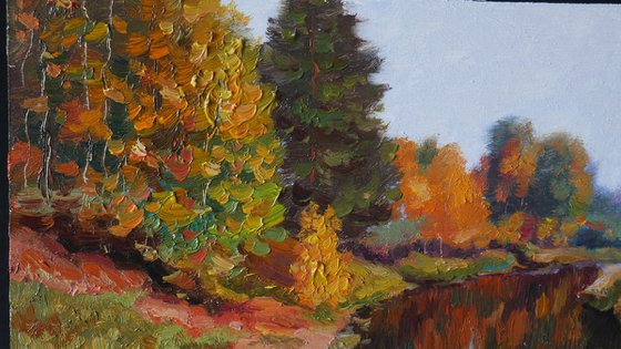 Colors Of Autumn