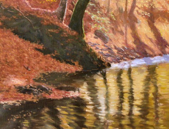 Autumn on Wolf Creek