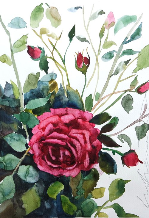 A Single Rose in Watercolor Floral Painting by Ion Sheremet