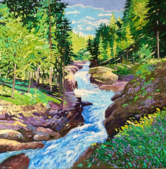 Mt Rainer National Park