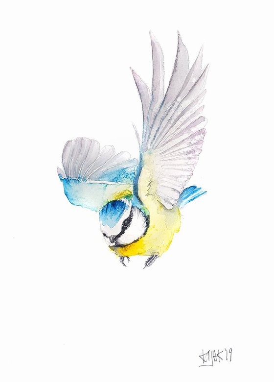 Flying Blue Tit,  birds, wildlife watercolours