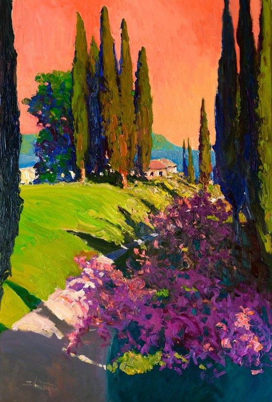 Cypresses. Evening