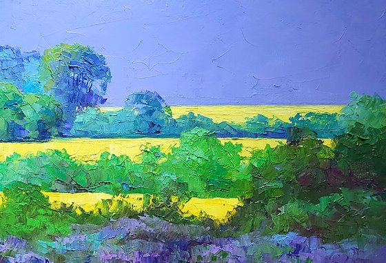 Rapeseed fields