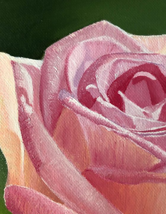 The secret of a rose