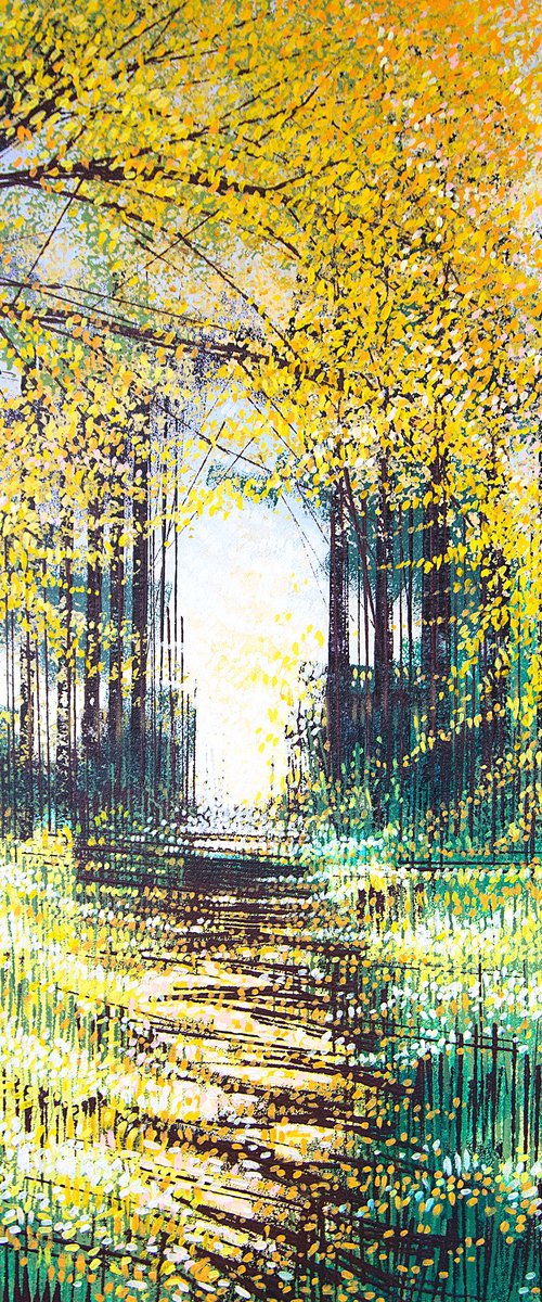 Sunlight Through Autumn Trees by Marc Todd