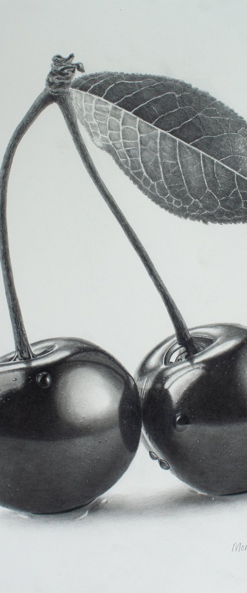 Cherry Connection by Dietrich Moravec