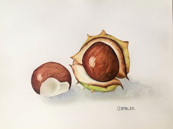 Conkers