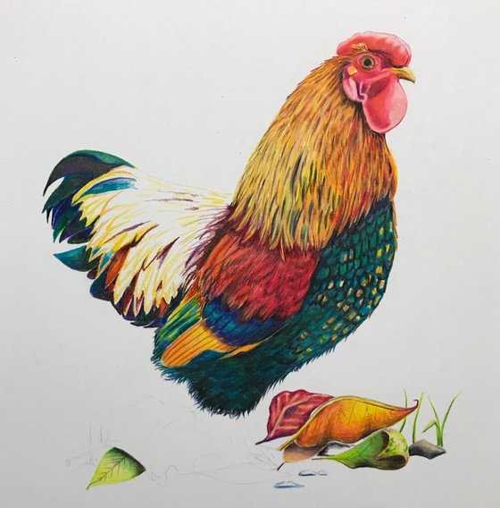 Red, gold and green (cockerel)